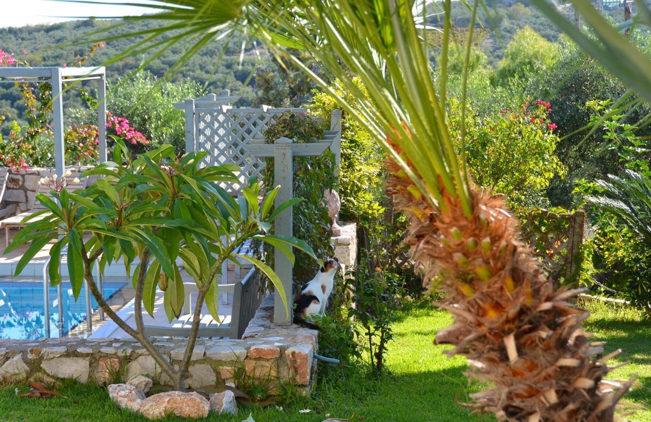 West Crete Chania - Villa Europa Darmarochori ภายนอก รูปภาพ